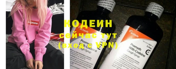 шишки Богданович