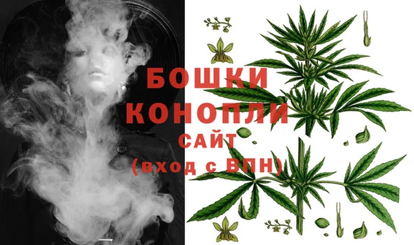 СК Белокуриха