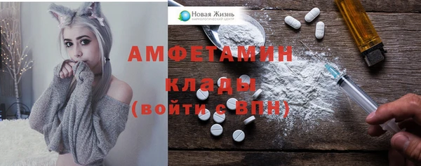 шишки Беломорск