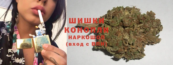 шишки Беломорск