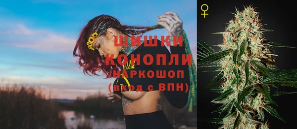 шишки Богданович