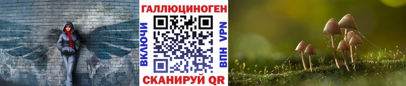 Галлюциногенные грибы Psilocybine cubensis  что такое   Белая Калитва 